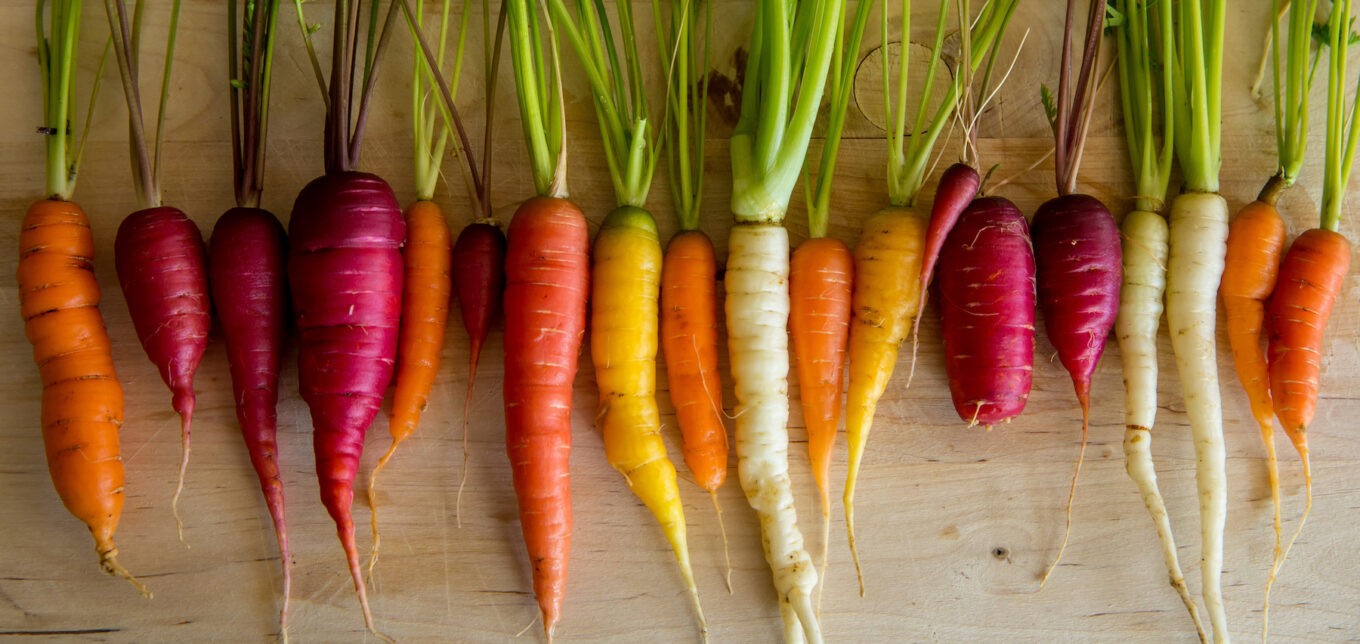 What Are Heirloom Vegetables? – Mother Earth News - Vimarsana News